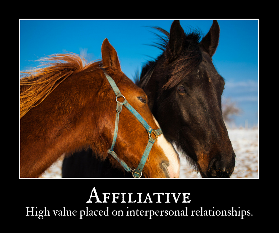 Motivational art: "Affiliative: High value placed on interpersonal relationships."